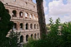 ROME (Highlights)