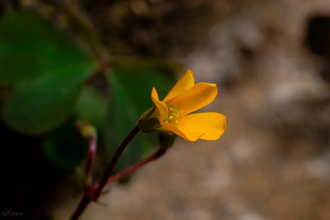 Photo Photography tips