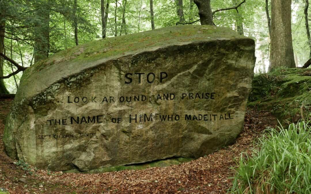 Tollymore Forest, A Mystical Adventure