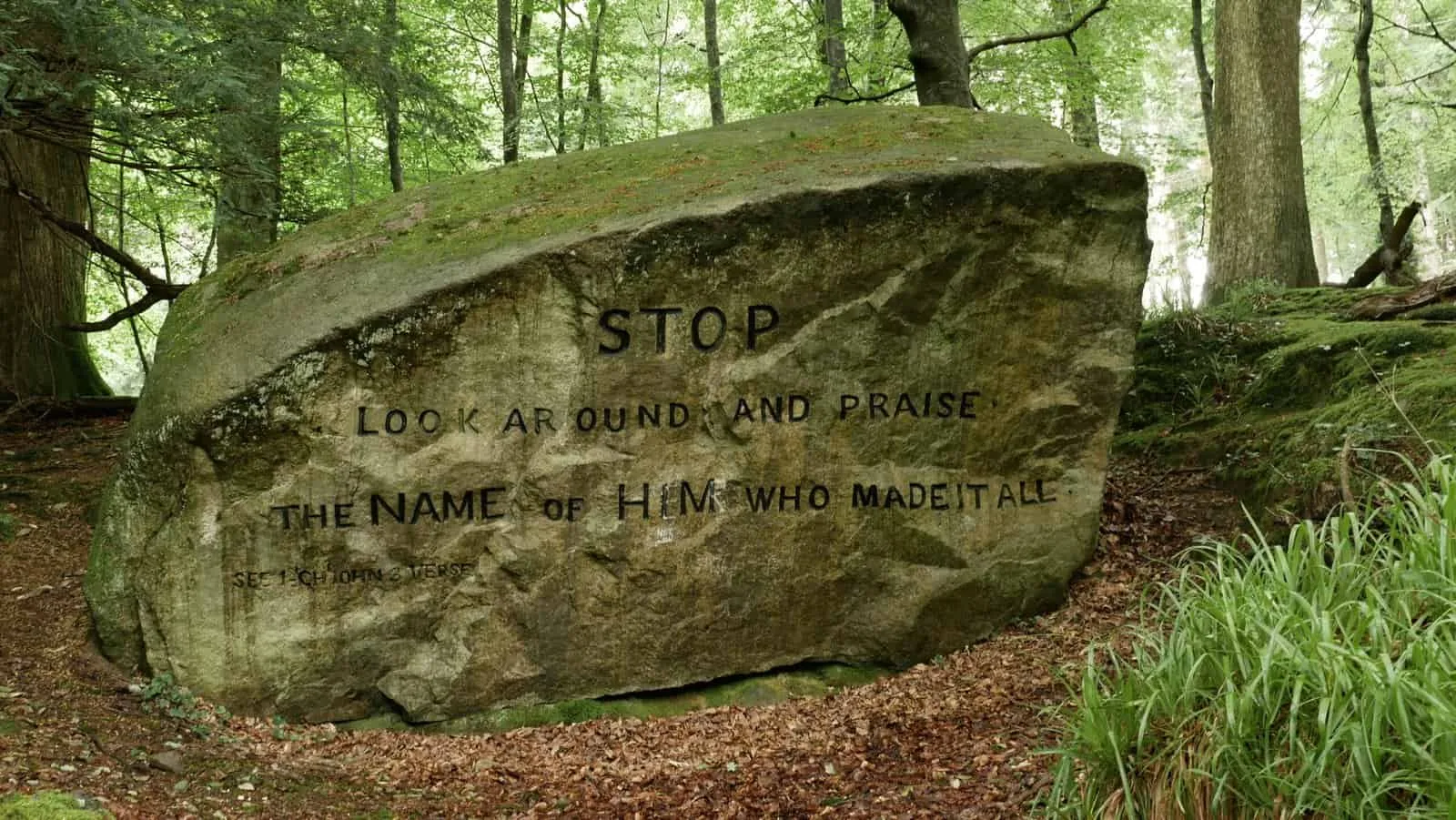 Tollymore Forest, A Mystical Adventure