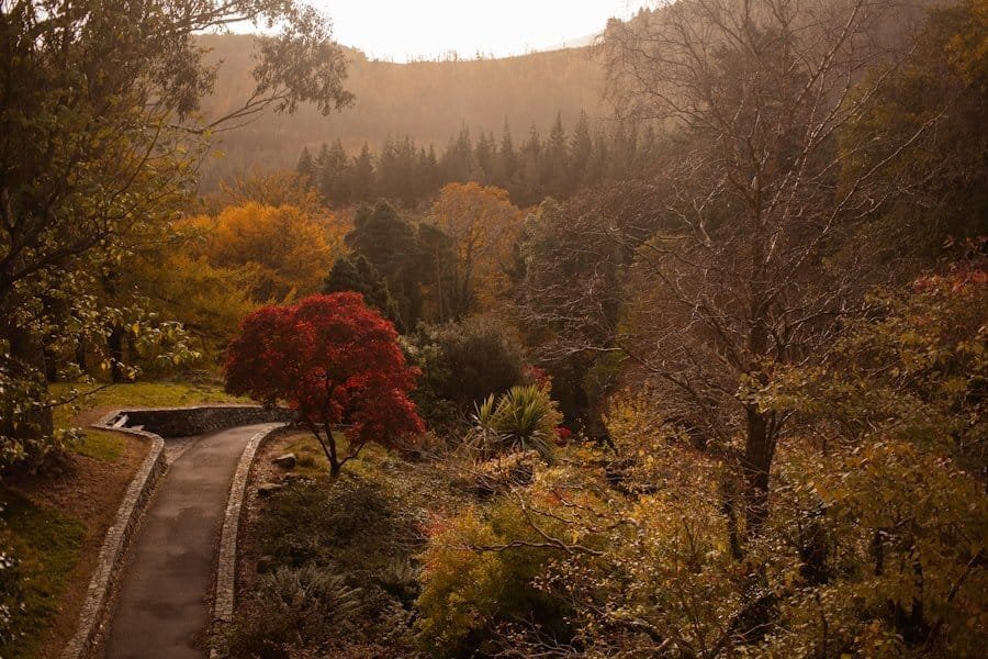 Photo Tollymore Forest